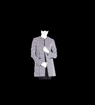 کت گلنوش ویچی